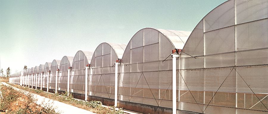 6 mil greenhouse plastic manufacture