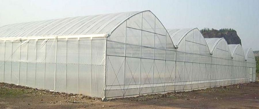 thick plastic for greenhouse price