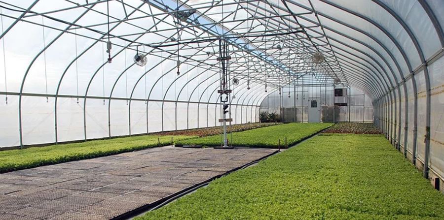 thick plastic for greenhouse manufacture