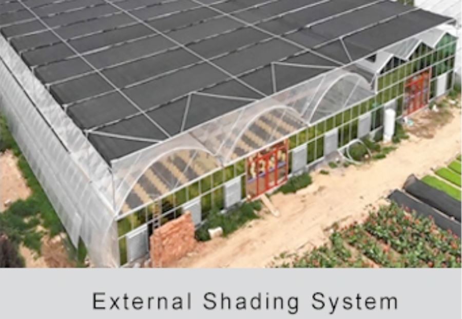 small polythene greenhouse price