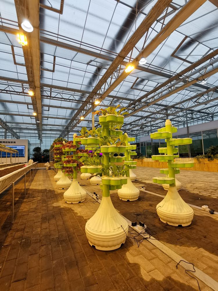 Glass Greenhouse Show Glass Greenhouse Show