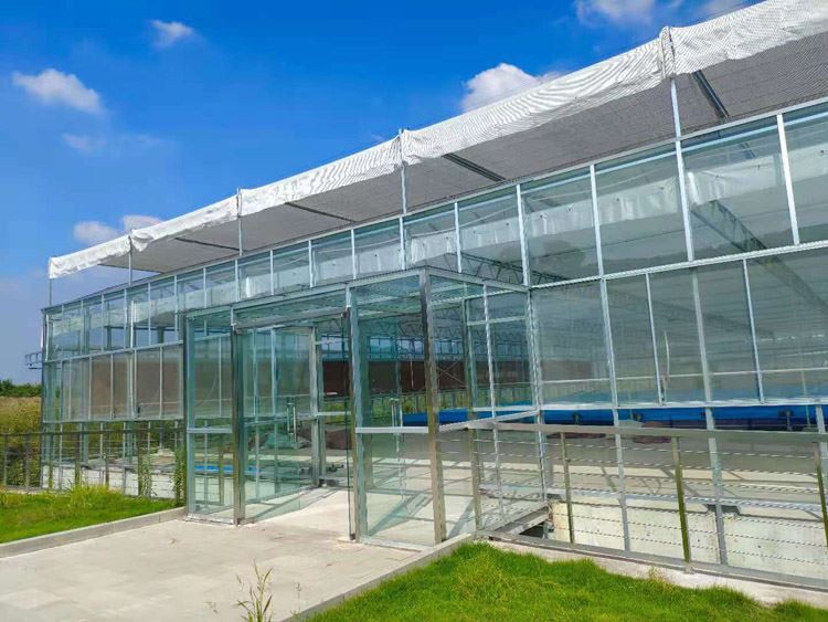 Talking about the four conditions for watering the crops in the greenhouse Talking about the four conditions for watering the crops in the greenhouse