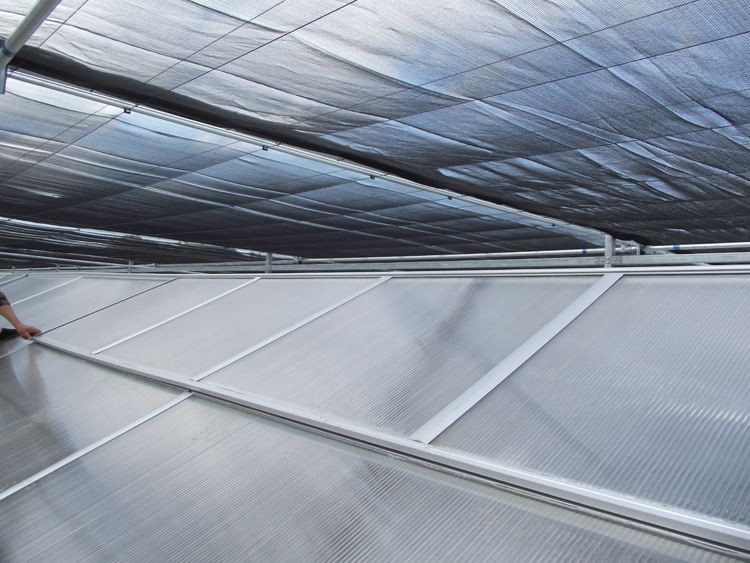 Multi-span greenhouse