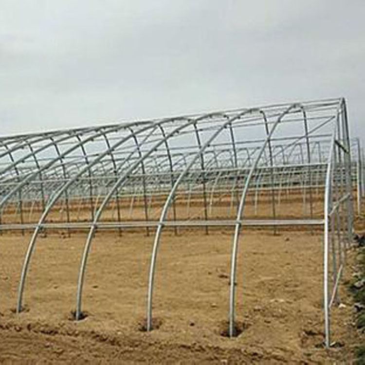 Plastic Film Greenhouse Plastic Film Greenhouse