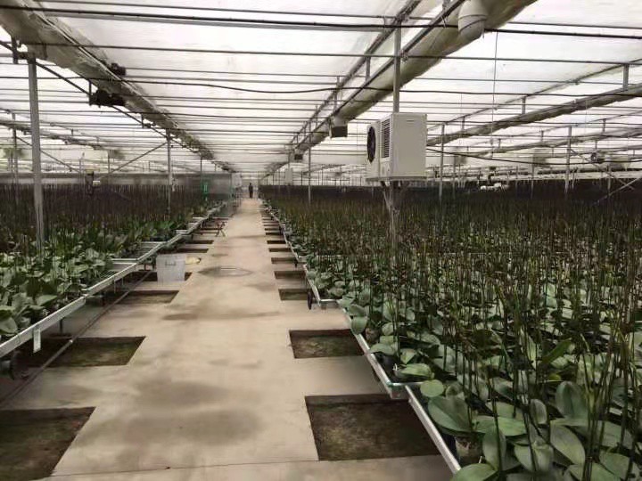 Greenhouse Greenhouse