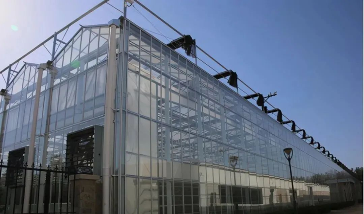 Multi-span greenhouses achieve these 6 points in terms of configuration and technology Multi-span greenhouses achieve these 6 points in terms of configuration and technology