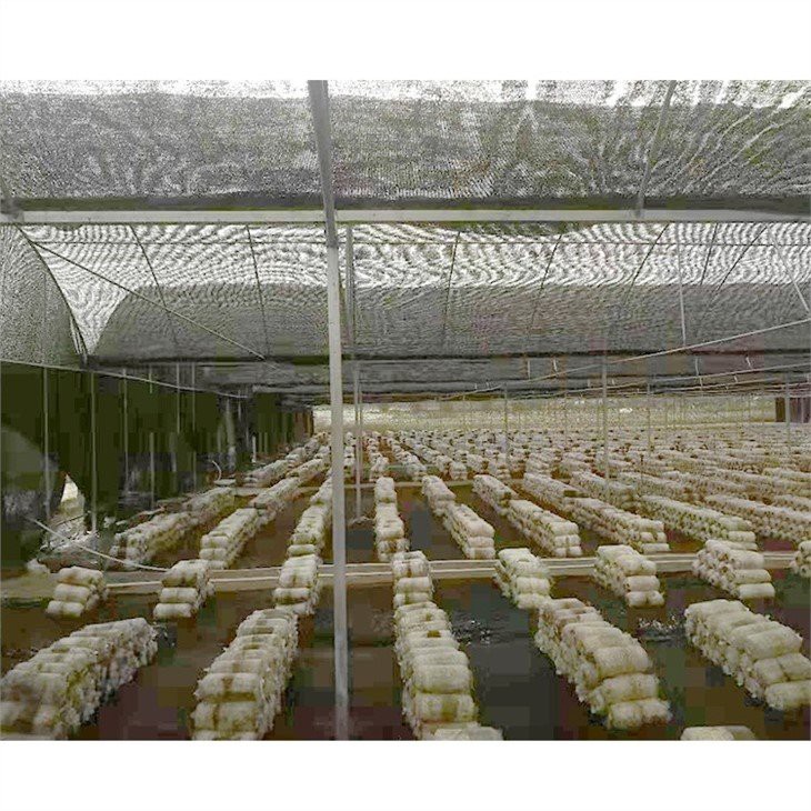 plastic garden greenhouse manufacture