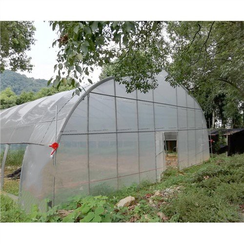 屋内植物用のミニ温室