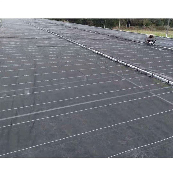 thick plastic for greenhouse price